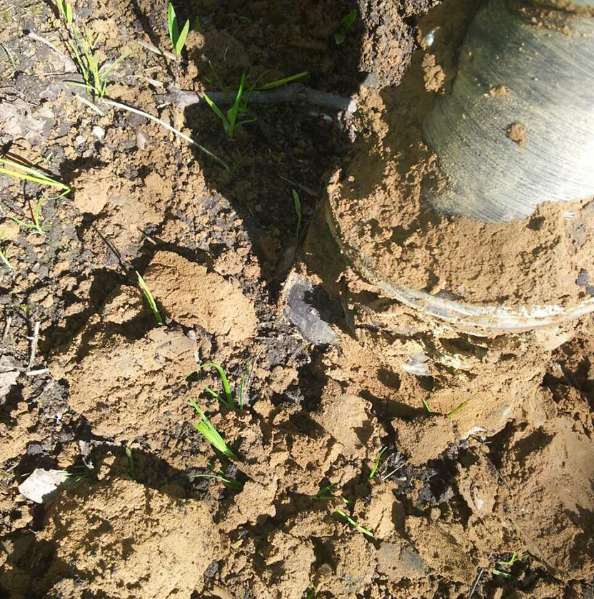 Badanie zagęszczenia